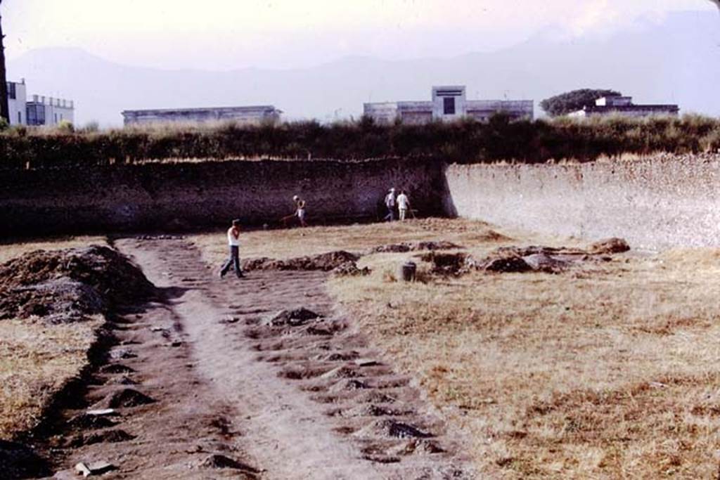 I.21.6 Pompeii, 1973. Looking south towards south-west corner. Photo by Stanley A. Jashemski. 
Source: The Wilhelmina and Stanley A. Jashemski archive in the University of Maryland Library, Special Collections (See collection page) and made available under the Creative Commons Attribution-Non Commercial License v.4. See Licence and use details. J73f0473
