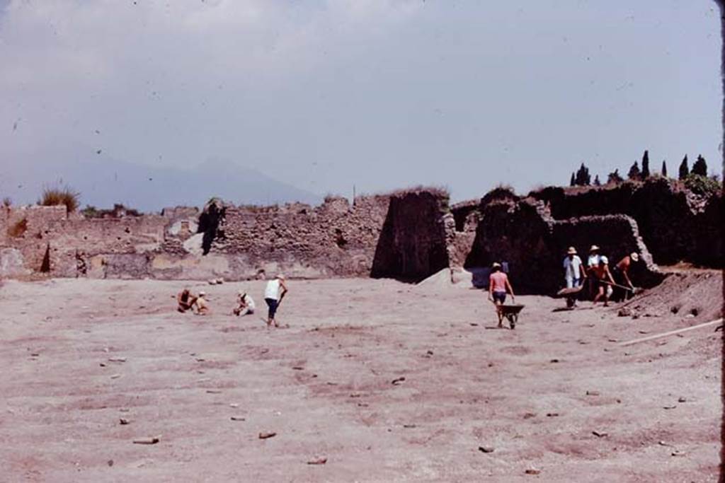 I.21.6 Pompeii. 1974. Looking towards north-east corner of site across lines of protected root cavities. Photo by Stanley A. Jashemski.   
Source: The Wilhelmina and Stanley A. Jashemski archive in the University of Maryland Library, Special Collections (See collection page) and made available under the Creative Commons Attribution-Non Commercial License v.4. See Licence and use details. J74f0226
