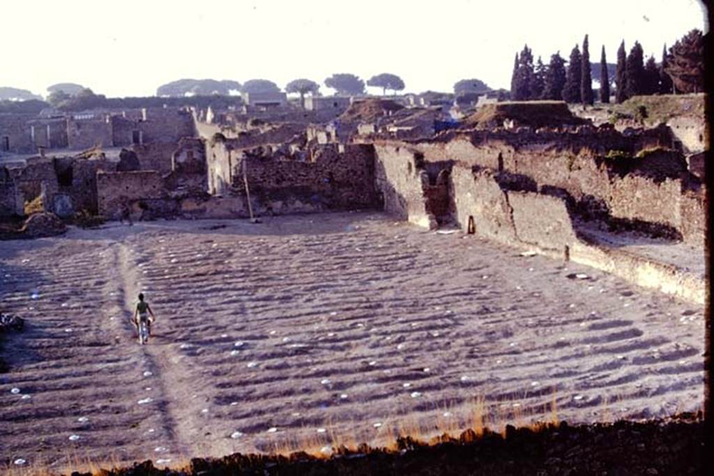 I.21.6 Pompeii. 1974. Looking north-east across garden area where the painted discs have now replaced the stones. The white painted wooden discs were to ensure the “balloon”, photographing from above, would be able to easily identify the root cavities. Photo by Stanley A. Jashemski.   
Source: The Wilhelmina and Stanley A. Jashemski archive in the University of Maryland Library, Special Collections (See collection page) and made available under the Creative Commons Attribution-Non Commercial License v.4. See Licence and use details. J74f0692
