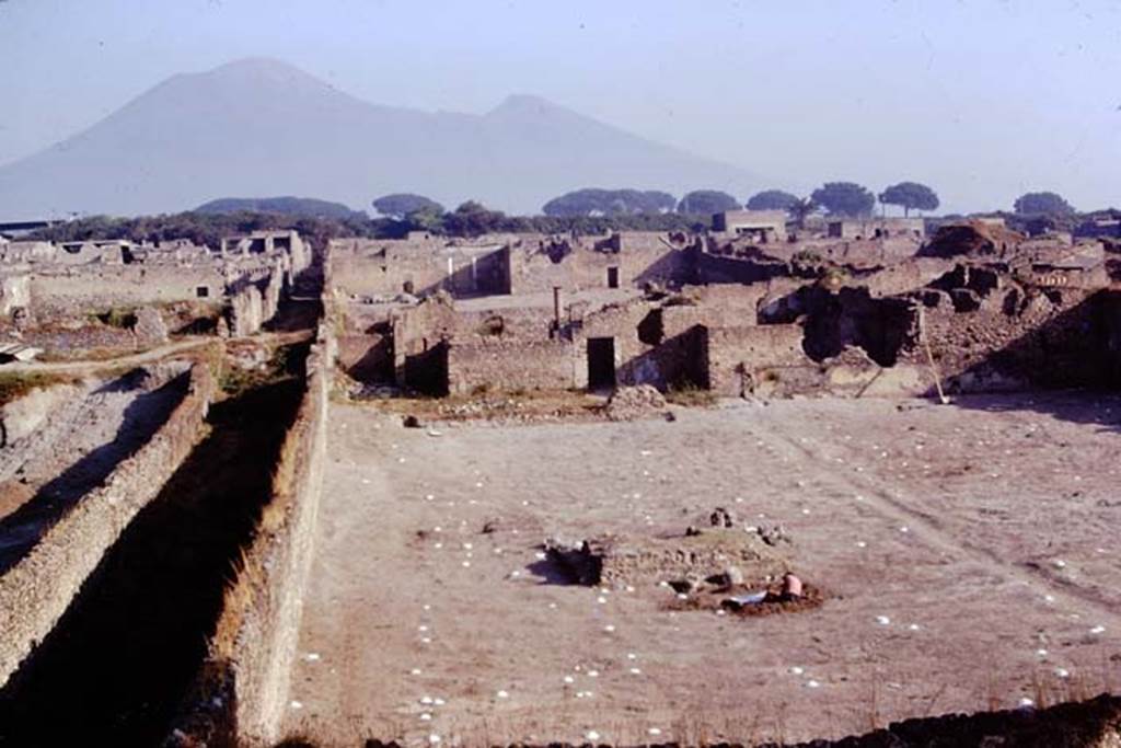 I.21.6 Pompeii. 1974. Looking north across triclinium and along west side of garden area. On the left is the Vicolo della Nave Europa. Photo by Stanley A. Jashemski.   
Source: The Wilhelmina and Stanley A. Jashemski archive in the University of Maryland Library, Special Collections (See collection page) and made available under the Creative Commons Attribution-Non Commercial License v.4. See Licence and use details. J74f0699
