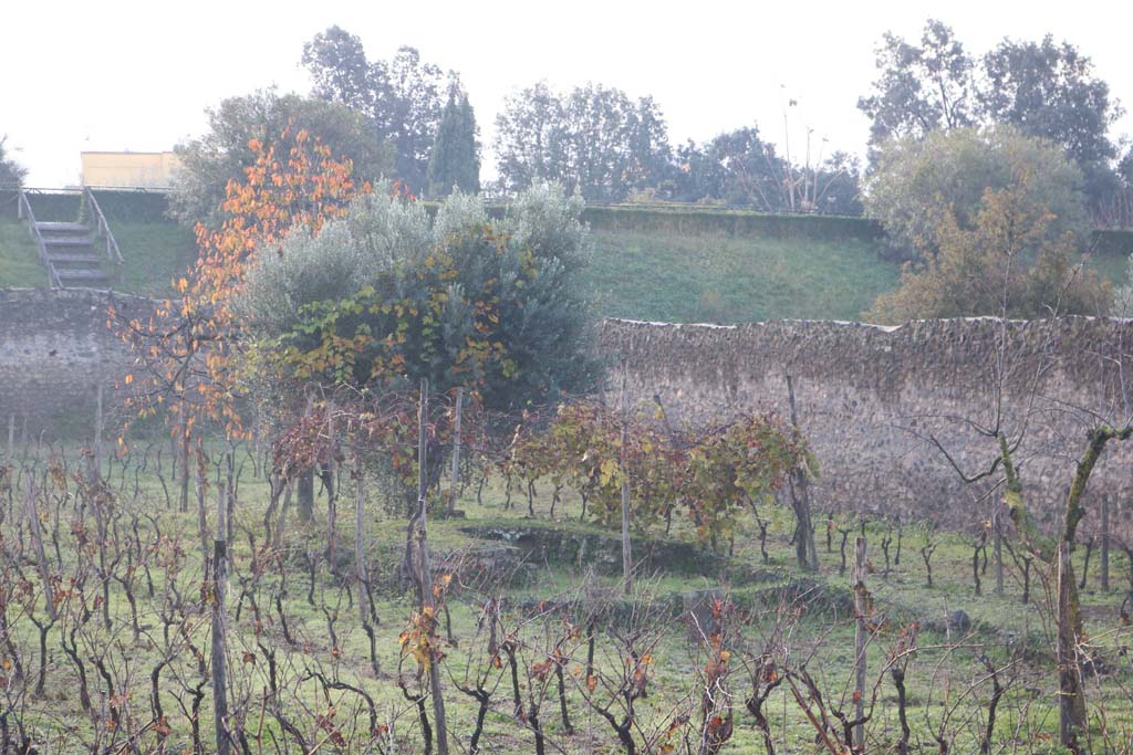 I.21.6 Pompeii. December 2018. Looking south-west towards triclinium in garden. Photo courtesy of Aude Durand.

