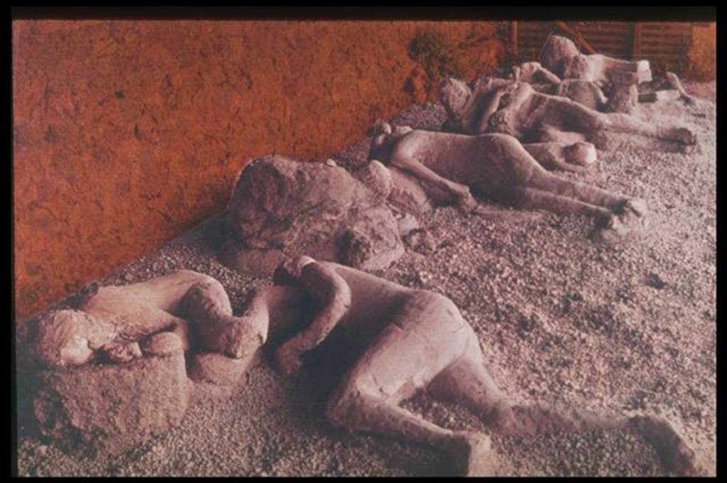 I.21.6 Pompeii.  Plaster casts of bodies.Photographed 1970-79 by Günther Einhorn, picture courtesy of his son Ralf Einhorn
