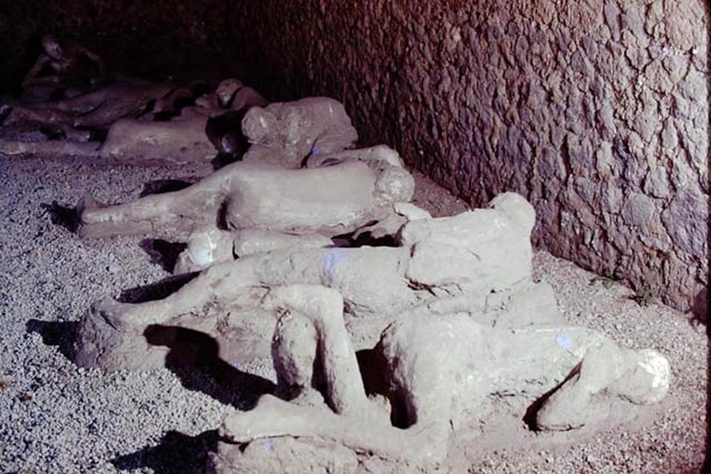 I.21.6 Pompeii. 1974. Plaster casts of bodies. Photo by Stanley A. Jashemski.   
Source: The Wilhelmina and Stanley A. Jashemski archive in the University of Maryland Library, Special Collections (See collection page) and made available under the Creative Commons Attribution-Non Commercial License v.4. See Licence and use details. J74f0223
