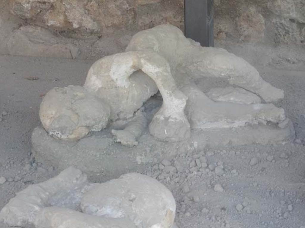 I.21.6 Pompeii. May 2016. Detail of plaster casts of impression of bodies. 
Photo courtesy of Buzz Ferebee.

