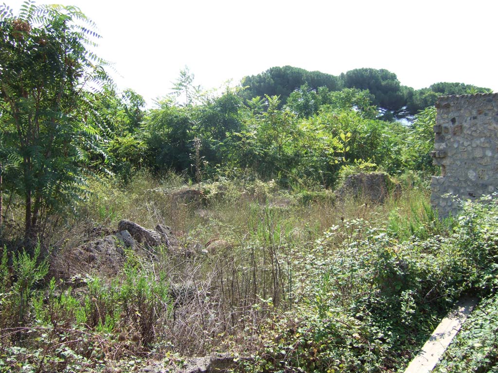 I.22.3 Pompeii. September 2005. Looking south-west from entrance.