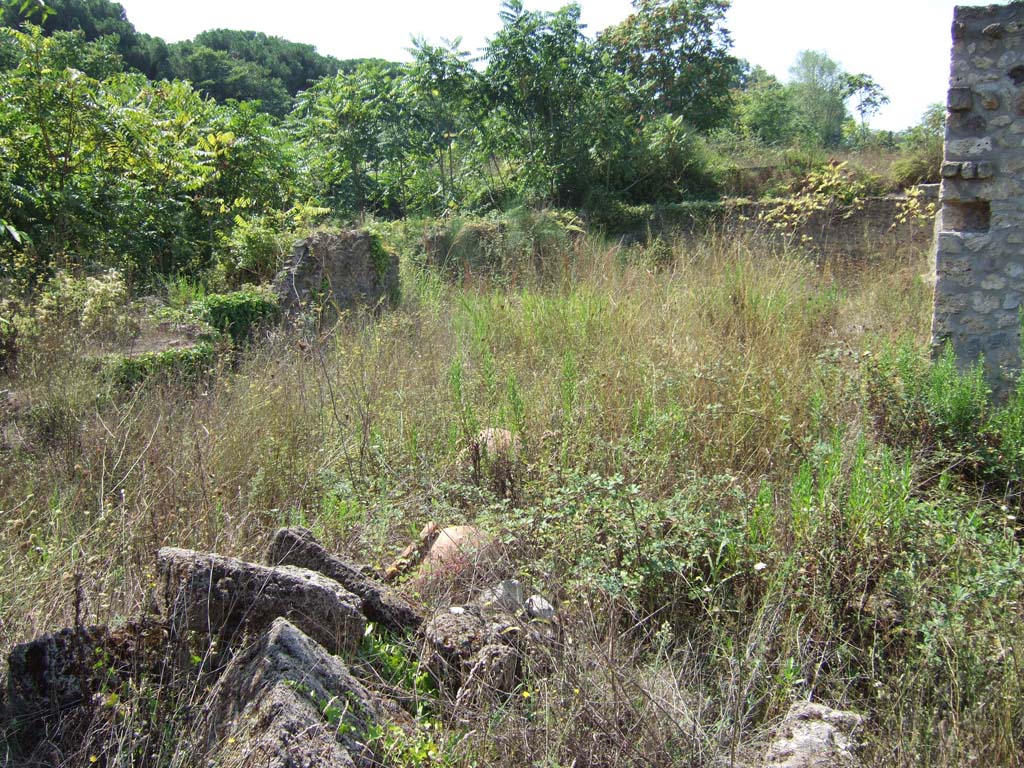 I.22.3 Pompeii. September 2005. Looking south-west from entrance.