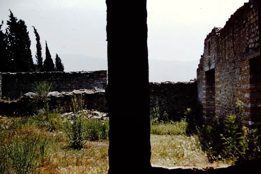 II.1.5 Pompeii. 1961. Looking south from window and doorway of rear room onto garden, at II.1.7.  Photo by Stanley A. Jashemski.
Source: The Wilhelmina and Stanley A. Jashemski archive in the University of Maryland Library, Special Collections (See collection page) and made available under the Creative Commons Attribution-Non Commercial License v.4. See Licence and use details.
J61f0636
