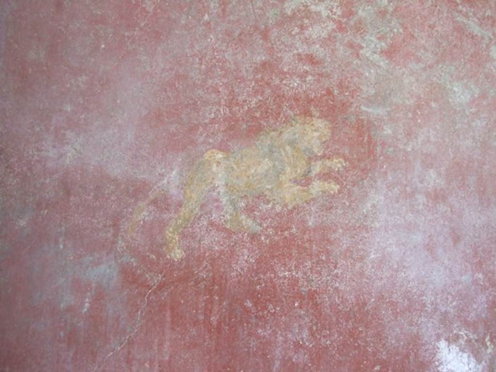 II.1.5 Pompeii.  Large Taberna.  West wall of rear room.  Detail of painted lion.
