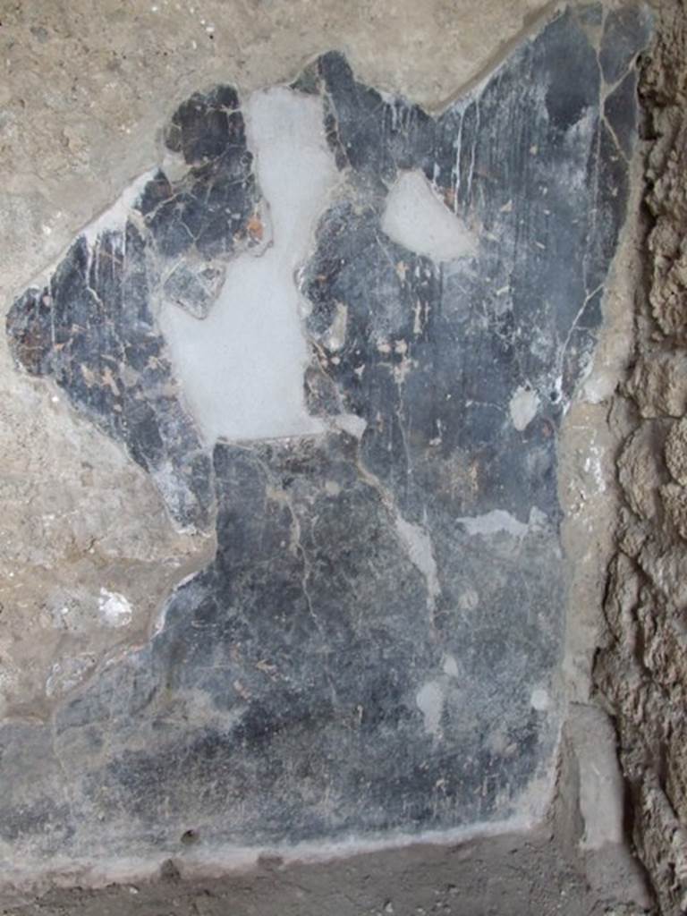 II.1.5 Pompeii.  Large Taberna.  Remains of painted decoration above the steps in north east corner of rear room.  