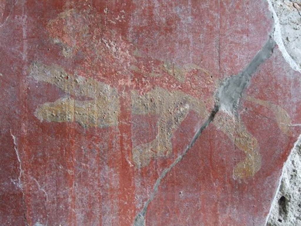 II.1.5 Pompeii.  Large Taberna.  East wall of rear room.   Detail of painting of a lion.