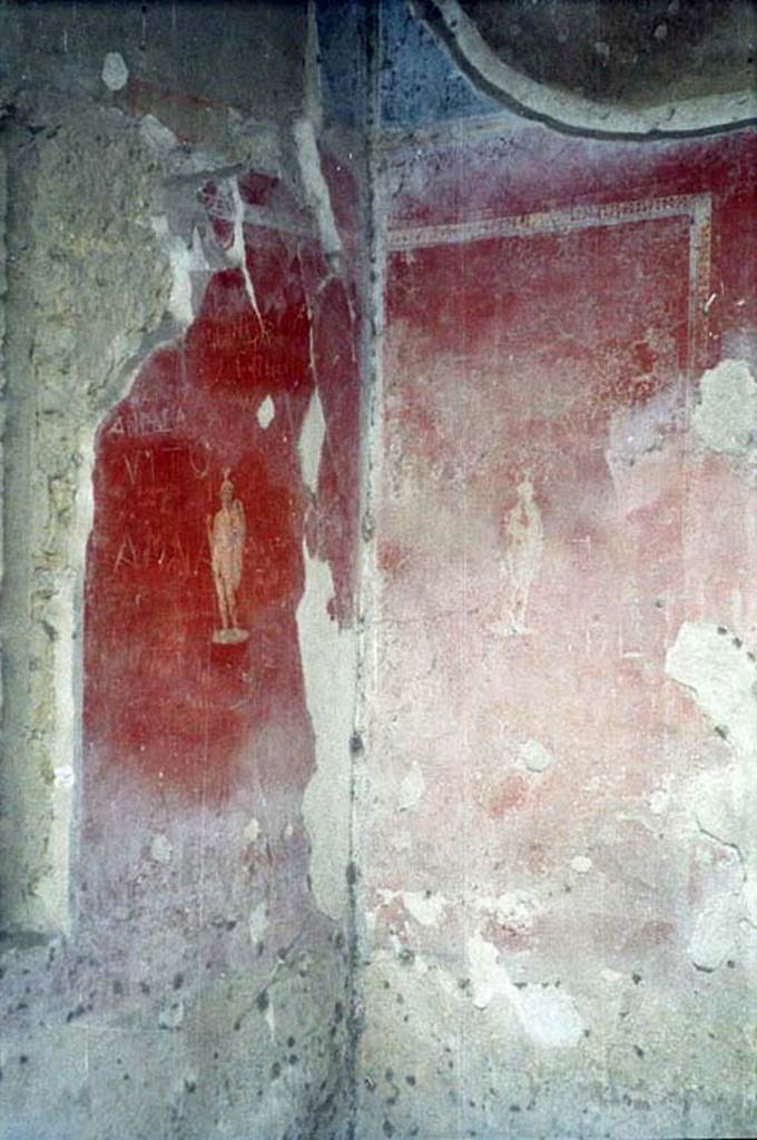 II.2.2 Pompeii. May 2016. Room “c”, detail of painted plant on zoccolo of north wall of triclinium.
Photo courtesy of Buzz Ferebee.

