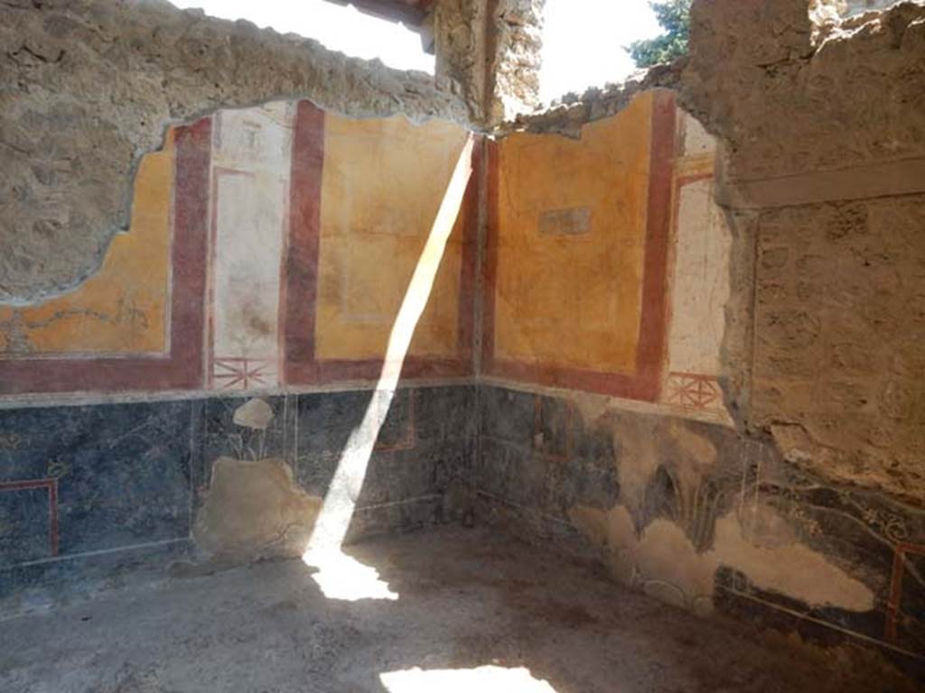 II.2.2 Pompeii. May 2016. Room “d”, detail of panel from west end of north wall. Photo courtesy of Buzz Ferebee.
