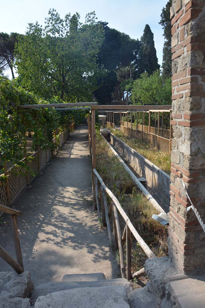 II.2.2 Pompeii. July 2017. 
Room “l” (L), looking south across garden from room “i”, on east side of temple. 
Foto Annette Haug, ERC Grant 681269 DÉCOR.
