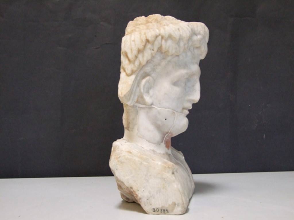 II.2.2 Pompeii.  March 2009. Room “i”. White marble bust of a man, perhaps a young Dionysus.   Found on the north side of the upper euripus in the garden.
SAP inventory number:   20382
