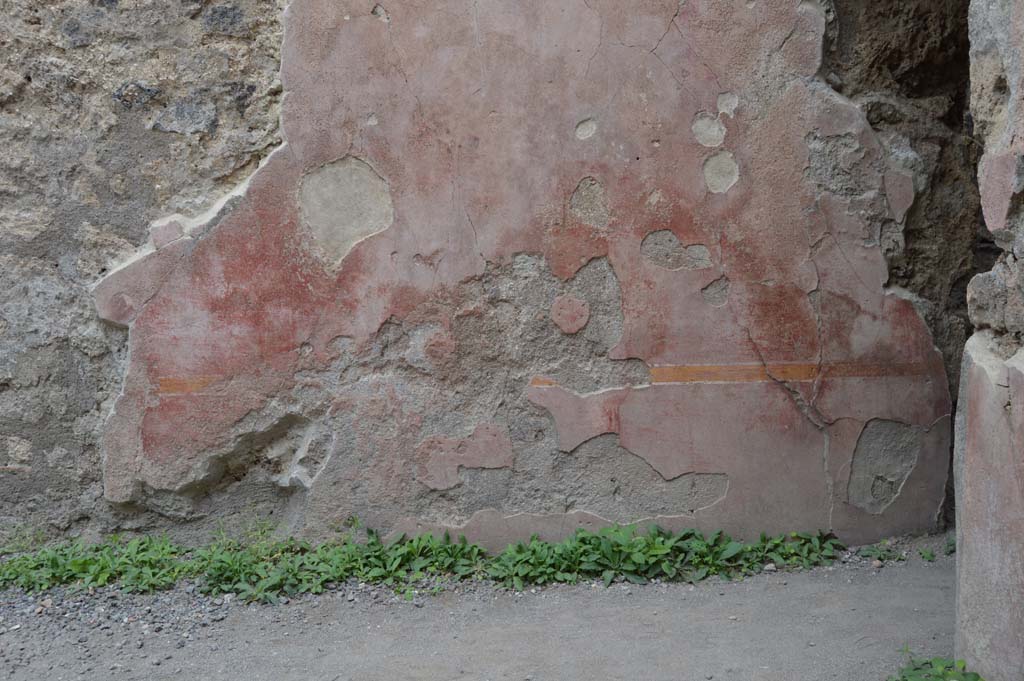 II.2.3 Pompeii. October 2017. Detail of east wall in south-east corner.
Foto Taylor Lauritsen, ERC Grant 681269 DÉCOR.

