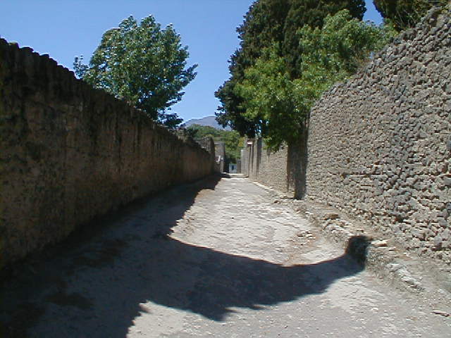 II.1 Pompeii. May 2005.     Vicolo di Octavius Quarto looking north.       Wall of II.2.2/5.
  
