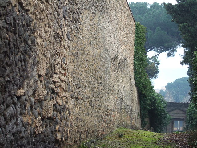 Side wall of II.3.1. Vicolo della Venere looking south. December 2005. 