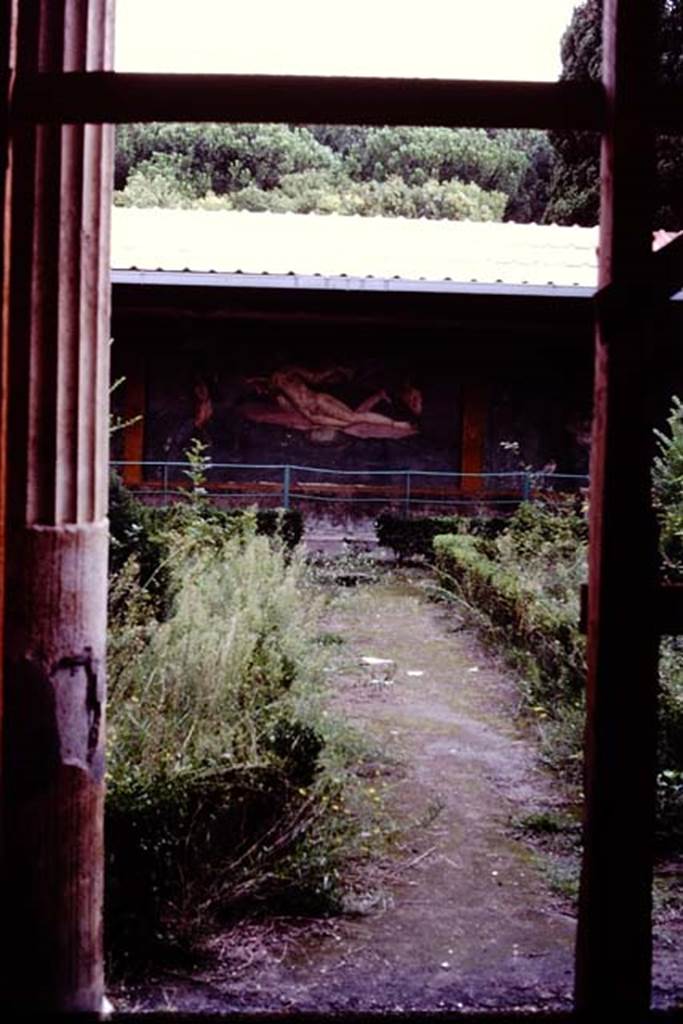 II.3.3 Pompeii, 1982 or 1983. Room 11, looking south across garden area from north portico.   
Source: The Wilhelmina and Stanley A. Jashemski archive in the University of Maryland Library, Special Collections (See collection page) and made available under the Creative Commons Attribution-Non Commercial License v.4. See Licence and use details. J80f0460

