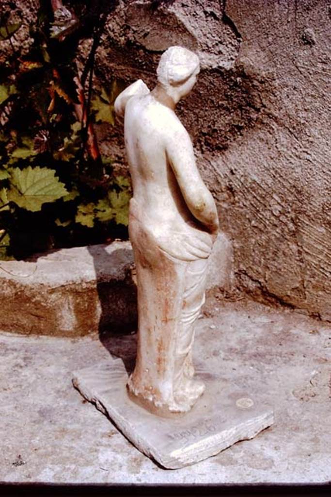 II.3.6 Pompeii. 1972. White marble statue of Venus, still with traces of red colouring.
Found in 1953. SAP inventory number: 9926. Photo by Stanley A. Jashemski. 
Source: The Wilhelmina and Stanley A. Jashemski archive in the University of Maryland Library, Special Collections (See collection page) and made available under the Creative Commons Attribution-Non Commercial License v.4. See Licence and use details.
J72f0303
