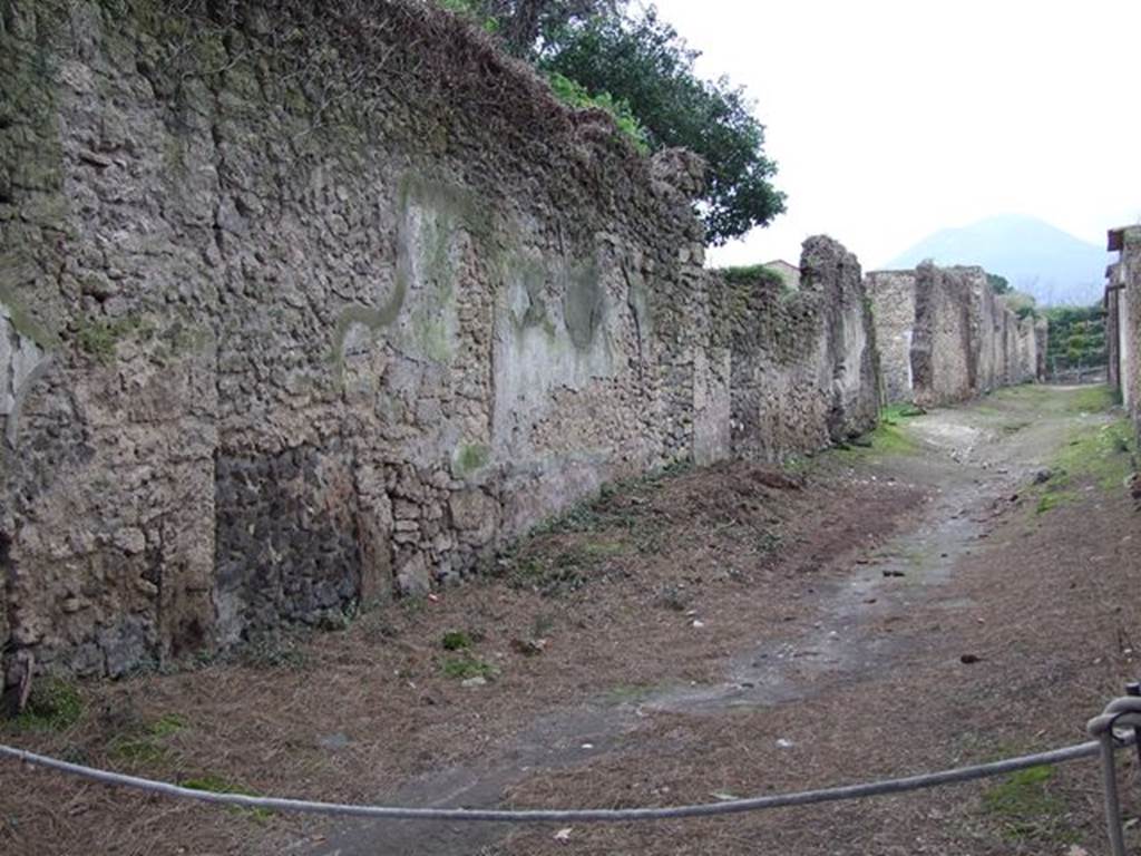 II.3 Pompeii, sidewall and roadway looking north.   December 2005.