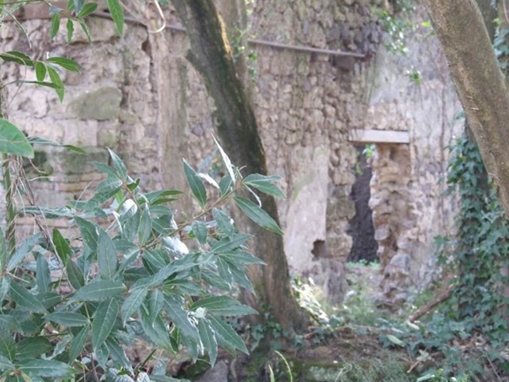 II.3.8 Pompeii. March 2009. Looking south from the garden of II.3.7 at the west wall of II.3.8.