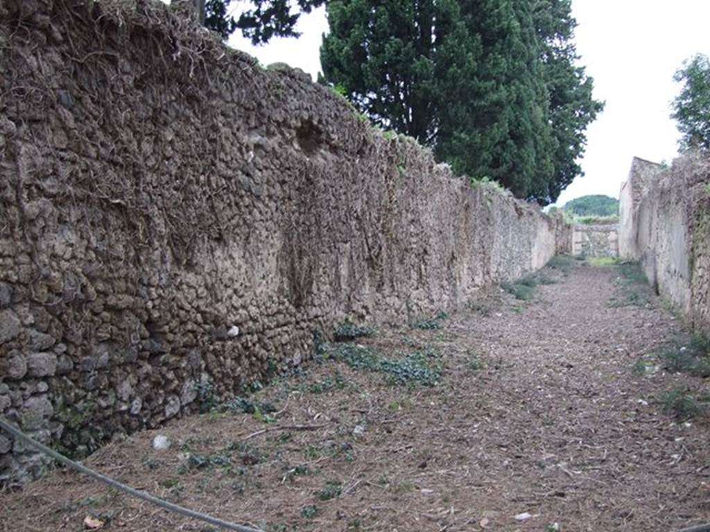 II.2 Pompeii, side wall. December 2006. Vicolo della Venere,looking north. Side wall of II.3.9