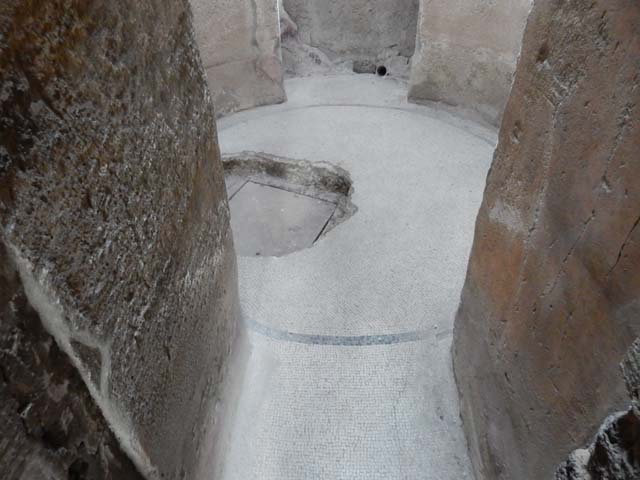 II.4.6 Pompeii. May 2017. West wall of basin/pool in Frigidarium/apodyterium. Photo courtesy of Buzz Ferebee.

