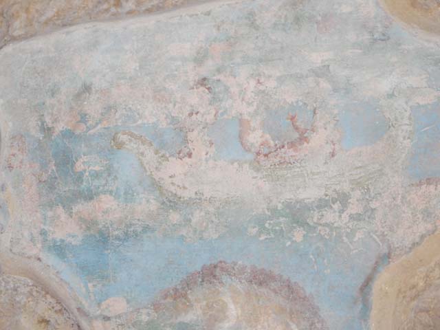 II.4.6 Pompeii. December 2006.  Wall decoration.