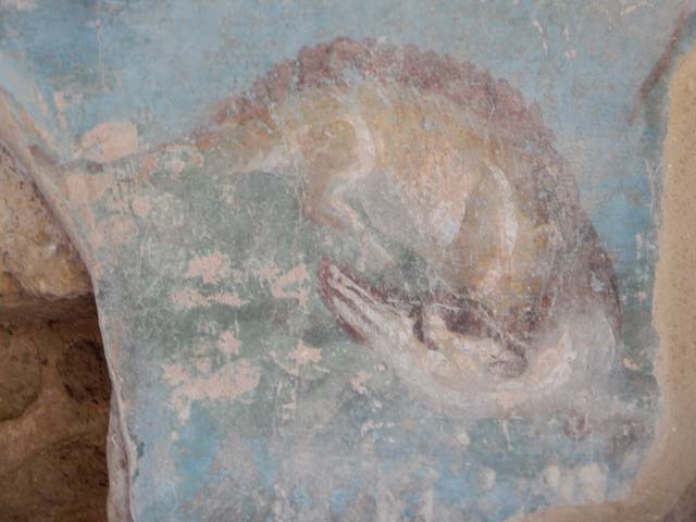 II.4.6 Pompeii. May 2016. North wall, with remains of painted decoration showing two pygmies rowing a boat. Photo courtesy of Buzz Ferebee.
