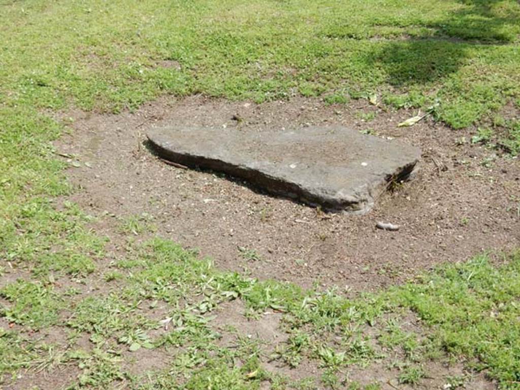 II.4.9 Pompeii. May 2016. Plaster-cast of tree roots in garden. Photo courtesy of Buzz Ferebee.