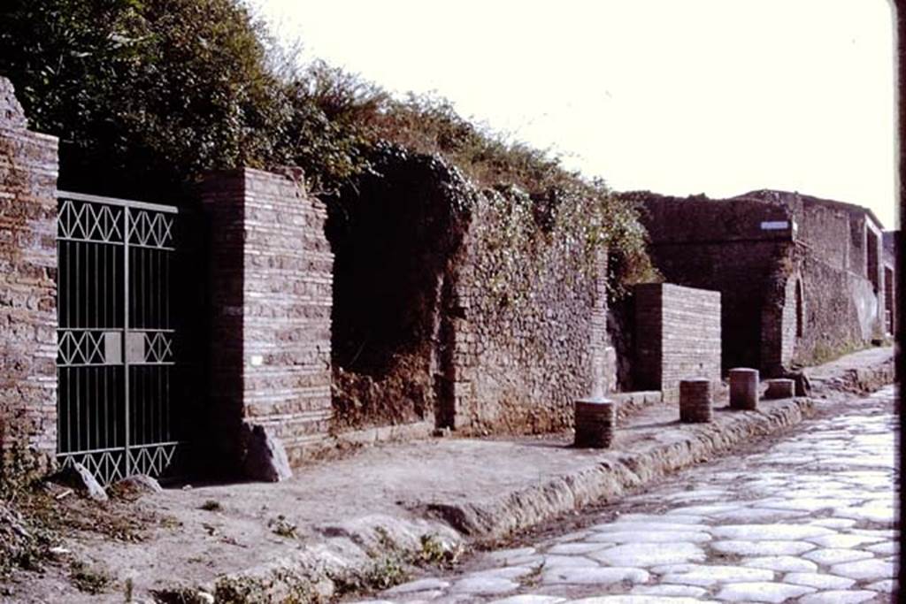II.5.3 Pompeii, on left. 1972. Looking towards entrance doorways. Photo by Stanley A. Jashemski. 
Source: The Wilhelmina and Stanley A. Jashemski archive in the University of Maryland Library, Special Collections (See collection page) and made available under the Creative Commons Attribution-Non Commercial License v.4. See Licence and use details. J72f0508
