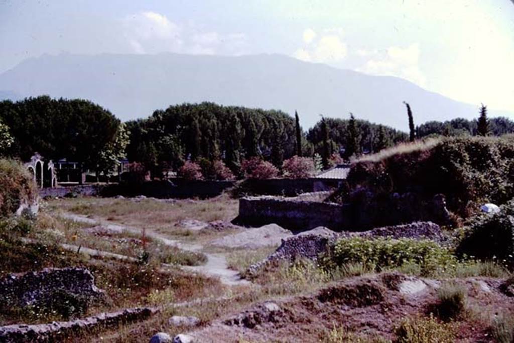 II.5 Pompeii. 1966. Looking south-west across site, from III.7. Photo by Stanley A. Jashemski.
Source: The Wilhelmina and Stanley A. Jashemski archive in the University of Maryland Library, Special Collections (See collection page) and made available under the Creative Commons Attribution-Non Commercial License v.4. See Licence and use details.
J66f0906

