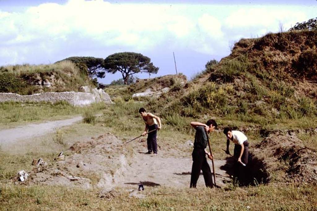 II.5 Pompeii, 1968. Work begins removing weeds and clearing the site. Looking north. Photo by Stanley A. Jashemski.
Source: The Wilhelmina and Stanley A. Jashemski archive in the University of Maryland Library, Special Collections (See collection page) and made available under the Creative Commons Attribution-Non Commercial License v.4. See Licence and use details.
J68f0048
