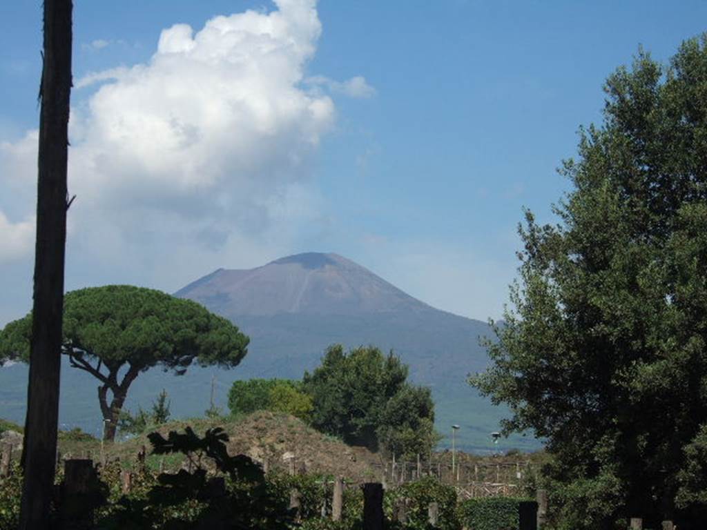 II.5.5 Pompeii. September 2005. Looking north-west across II.5 towards II.5.1.

 
