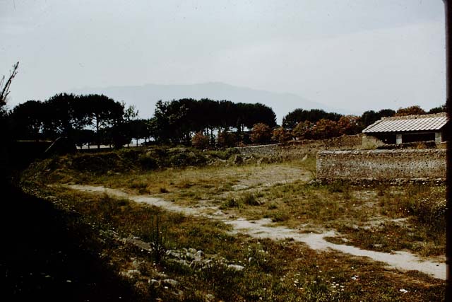 II.5.5 Pompeii.  March 2009. Looking south over wall on Via ell’Abbondanza, across vineyard to II.5.5 and amphitheatre.