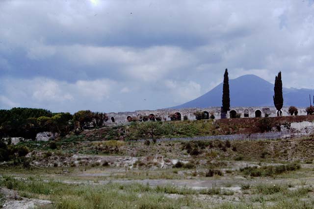 II.6 Pompeii. 1968. Looking north to ampitheatre and section of wall between Tower IV, on left, and Tower V, on right. Photo by Stanley A. Jashemski.
Source: The Wilhelmina and Stanley A. Jashemski archive in the University of Maryland Library, Special Collections (See collection page) and made available under the Creative Commons Attribution-Non Commercial License v.4. See Licence and use details.
J68f1756
