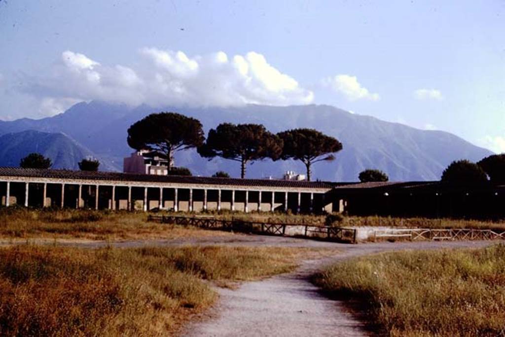 II.7.4 Pompeii. 1966. Looking towards south-west corner.  Photo by Stanley A. Jashemski.
Source: The Wilhelmina and Stanley A. Jashemski archive in the University of Maryland Library, Special Collections (See collection page) and made available under the Creative Commons Attribution-Non Commercial License v.4. See Licence and use details.
J66f0422
