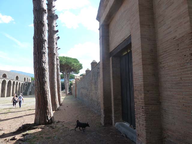 II.7.5 Pompeii. September 2015. Looking south along east exterior wall, from entrance doorway.