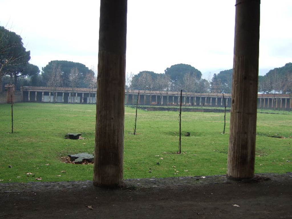 II.7.5 Pompeii. December 2005. Showing the replanted double row of plane trees. 