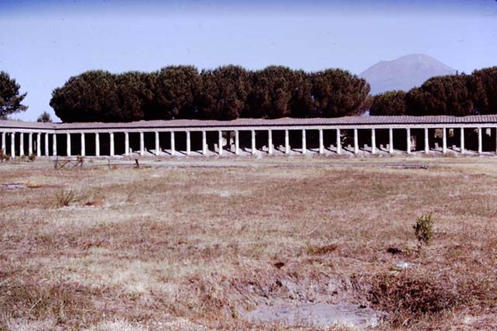II.7 Pompeii. 1970. Looking towards north side.  Photo by Stanley A. Jashemski.
Source: The Wilhelmina and Stanley A. Jashemski archive in the University of Maryland Library, Special Collections (See collection page) and made available under the Creative Commons Attribution-Non Commercial License v.4. See Licence and use details.
J70f0578
