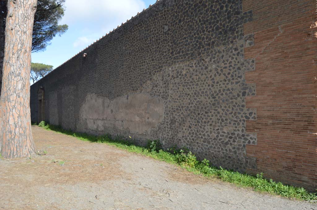 II.7.7 Pompeii. Palaestra. March 2019. Exterior north wall on south side of Via di Castricio, site of graffiti.
Foto Taylor Lauritsen, ERC Grant 681269 DÉCOR.

