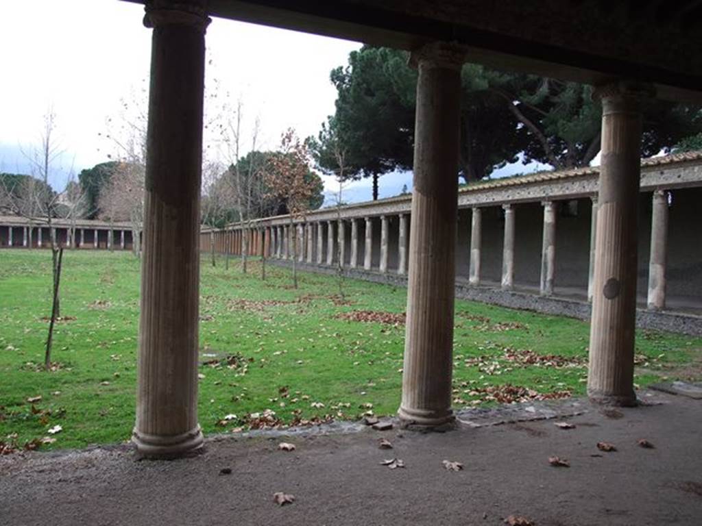 II.7.7 Pompeii. Palaestra. December 2006. Looking south towards II.7.10
