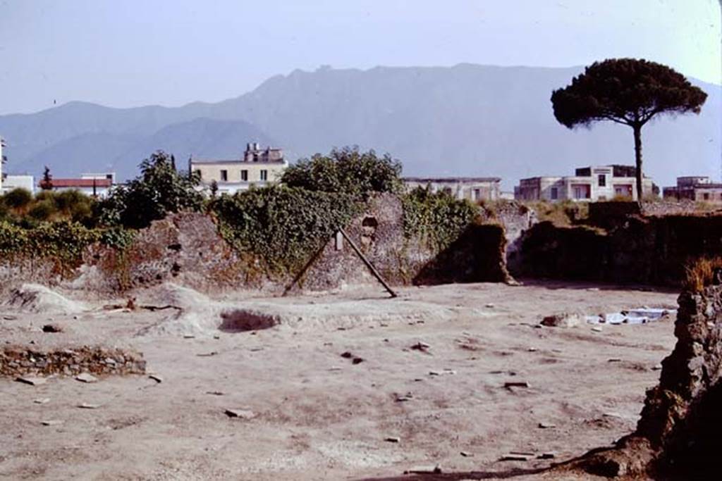 II.8.6 Pompeii, 1973. South end, looking south-west. Photo by Stanley A. Jashemski. 
Source: The Wilhelmina and Stanley A. Jashemski archive in the University of Maryland Library, Special Collections (See collection page) and made available under the Creative Commons Attribution-Non Commercial License v.4. See Licence and use details. J73f0285
