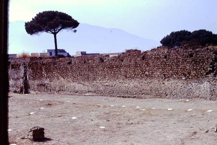 II.8.6 Pompeii. 1974. Looking towards the west wall across lines of root cavities, marked with painted wooden discs. Photo by Stanley A. Jashemski.   
Source: The Wilhelmina and Stanley A. Jashemski archive in the University of Maryland Library, Special Collections (See collection page) and made available under the Creative Commons Attribution-Non Commercial License v.4. See Licence and use details. J74f0683
