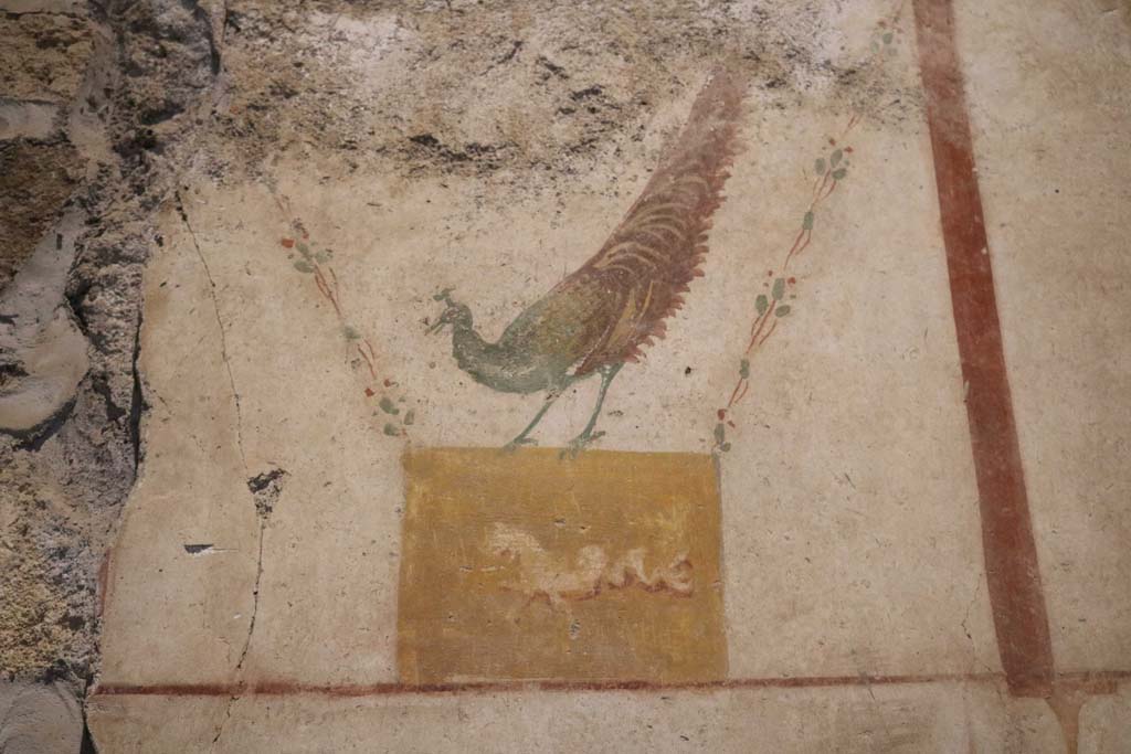 II.9.4, Pompeii. May 2018. Room 4, detail of painted peacock from east wall. Photo courtesy of Buzz Ferebee. 

