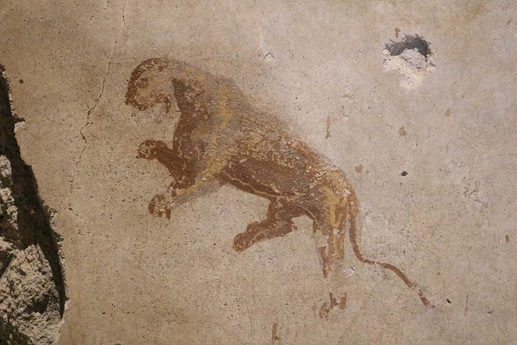 II.9.4 Pompeii. May 2018. Room 4, detail of panther from centre of middle panel on east wall.
Photo courtesy of Buzz Ferebee. 

