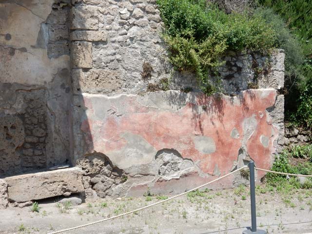 III.5.3 Pompeii. May 2024. Entrance doorway on right. Detail of painted plaster with graffiti on west side of doorway.
Photo courtesy of Klaus Heese. 
According to Varone, amongst graffiti found outside this house were two of the amorous kind.

In CIL IV 8897, Varone thought the unknown man who had written it, was boasting to keep account of his conquests –

Nyphe fututa, Amomus fututa,
Perennis fututu            [CIL IV 8897, with the note Nyphe is written for Nymphe and fututu for fututus]    [Now lost]

In CIL IV 8898, Varone thought the writer was making a derogatory comment about Tiopolus

Tiopilus, canis,
cunnu lingere no-
li puellis in muro           [CIL IV 8898]    [Immediately west of the entrance doorway.]

According to Epigraphik-Datenbank Clauss/Slaby (See www.manfredclauss.de), these read as –

Ny(m)phe  fututa  Amonus  fututa 
Perennis  fututu(s)        [CIL IV 8897]

T(h)iop(h)ilus(!)  canis 
cunnu(m)  lingere  no
li  puellis  in  muro         [CIL IV 8898]

See Varone, A., 2002. Erotica Pompeiana: Love Inscriptions on the Walls of Pompeii, Rome: L’erma di Bretschneider. (p.66 and p.82)


