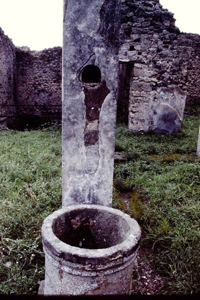 V.1.7 Pompeii. 1984. Room 17, looking west across peristyle. Source: The Wilhelmina and Stanley A. Jashemski archive in the University of Maryland Library, Special Collections (See collection page) and made available under the Creative Commons Attribution-Non Commercial License v.4. See Licence and use details. J84f0039

