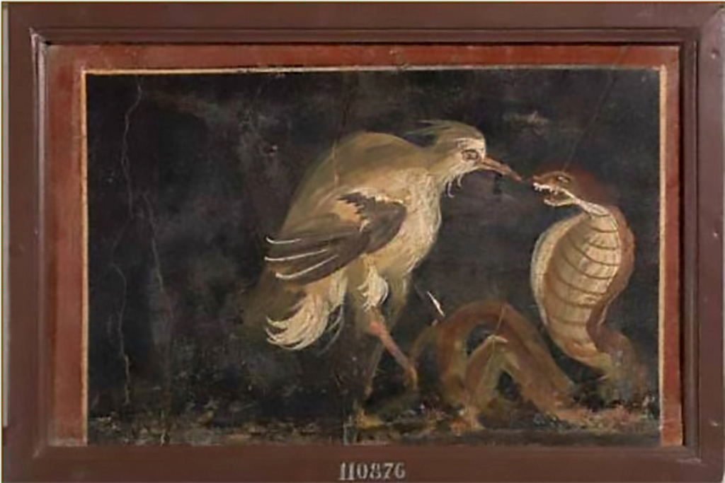 V.1.18 Pompeii. Room “l”, at base of wall. Painting of Heron and Cobra.
Now in Naples Archaeological Museum.  Inventory number 110876.
See Presuhn E., 1882. Pompeji: Die Neuesten Ausgrabungen  von 1874 bis 1881. Leipzig: Weigel. Abtheilung II, p. 4.
