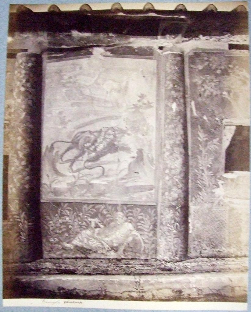 V.1.18 Pompeii. Painting on east wall of peristyle garden i.  
See Presuhn E., 1882. Pompeji: Die Neuesten Ausgrabungen  von 1874 bis 1881. Leipzig: Weigel. Abtheilung II, Taf II.

